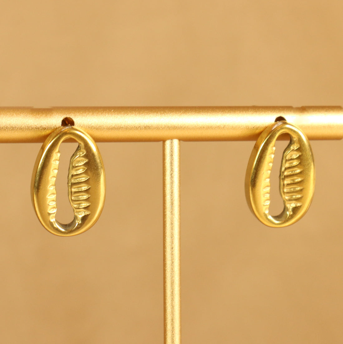 Jay Cowrie (18ct Gold Plated) Stainless Steel Earrings